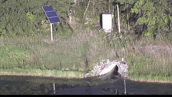 capture-3-23-07-29_20-07-35-29