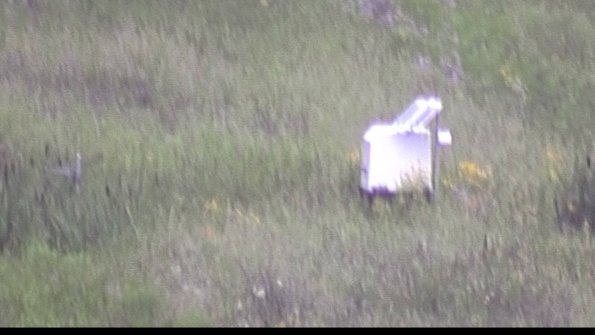 capture-4-23-07-29_07-01-40-35