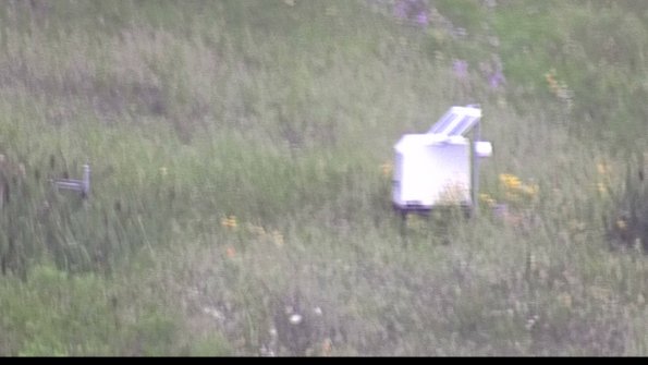 capture-4-23-07-29_07-03-49-58