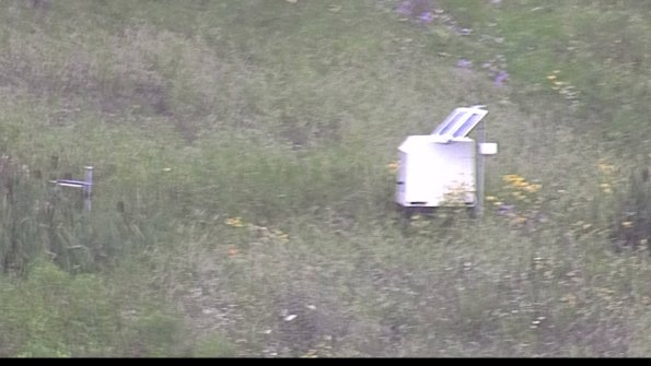 capture-4-23-07-29_07-12-29-43