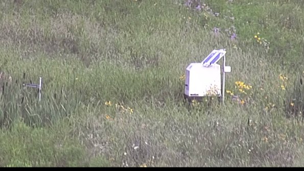 capture-4-23-07-29_07-25-29-52