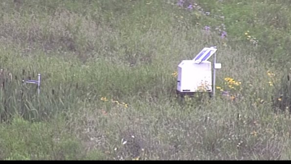 capture-4-23-07-29_07-27-39-48