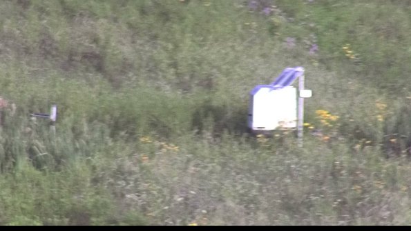 capture-4-23-07-29_07-38-29-50