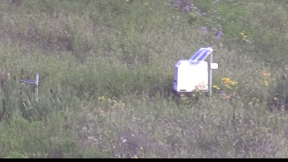 capture-4-23-07-29_08-11-00-13