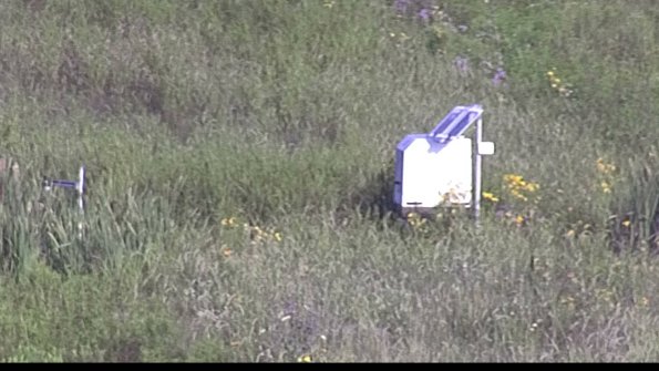 capture-4-23-07-29_08-15-19-89