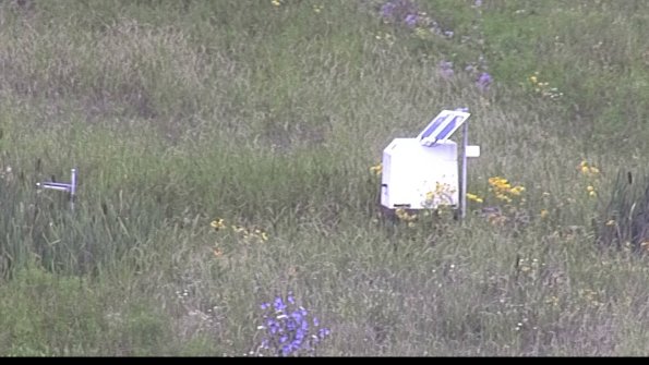 capture-4-23-07-29_09-20-20-18