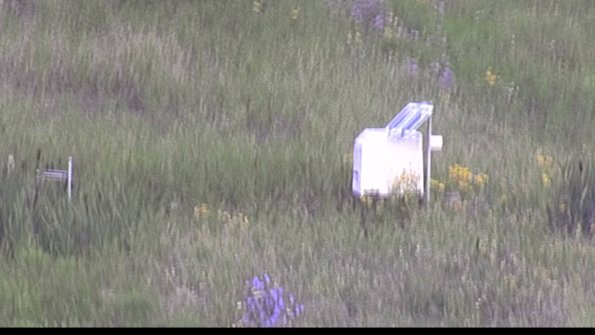 capture-4-23-07-29_09-22-30-31