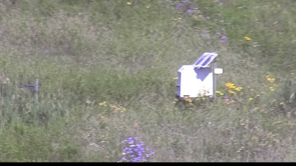 capture-4-23-07-29_09-31-09-96