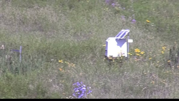 capture-4-23-07-29_09-33-21-10