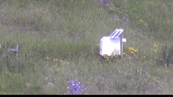 capture-4-23-07-29_09-39-50-18