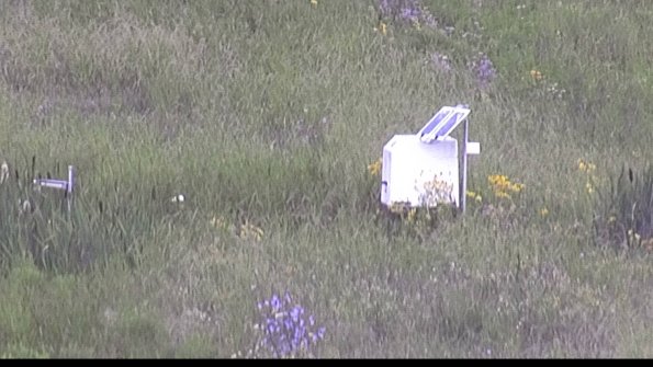 capture-4-23-07-29_12-47-46-46