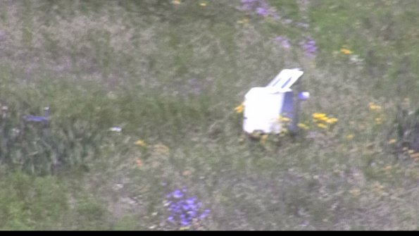 capture-4-23-07-29_12-56-26-75