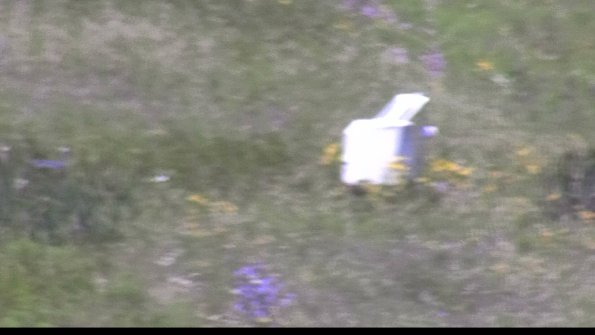 capture-4-23-07-29_12-58-36-68