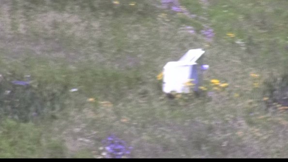 capture-4-23-07-29_13-00-46-54