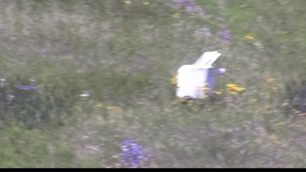 capture-4-23-07-29_13-02-56-54