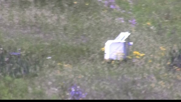 capture-4-23-07-29_13-18-06-69