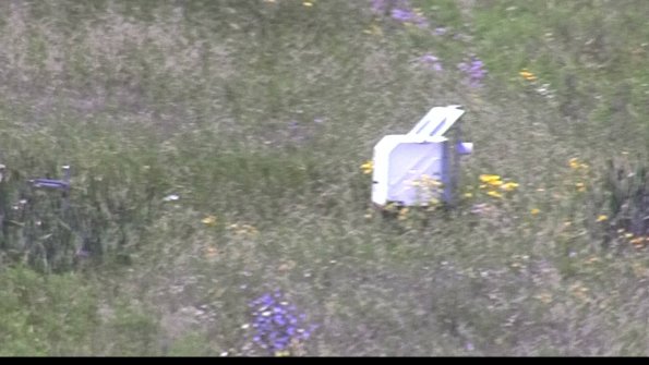 capture-4-23-07-29_13-20-17-32