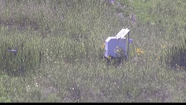 capture-4-23-07-29_17-46-55-86