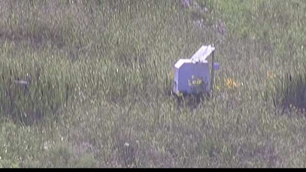 capture-4-23-07-29_17-59-55-81