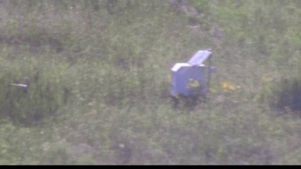 capture-4-23-07-29_18-12-55-92