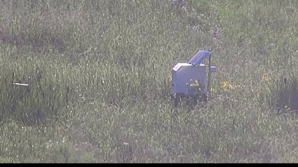 capture-4-23-07-29_18-38-55-86