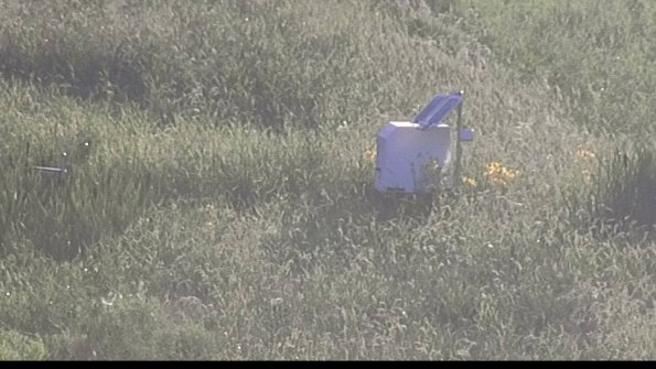 capture-4-23-07-29_20-07-45-80