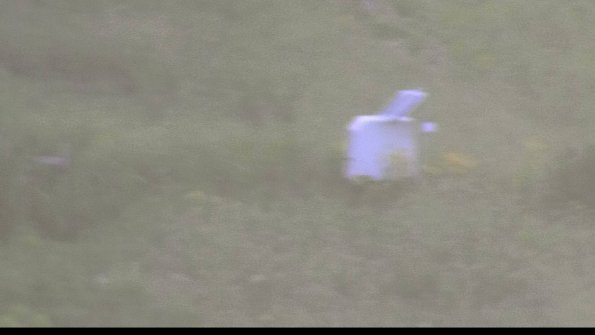 capture-4-23-07-29_20-31-35-84