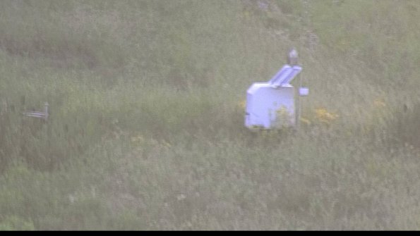 capture-4-23-07-29_20-38-05-73