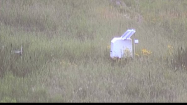 capture-4-23-07-29_20-46-45-62