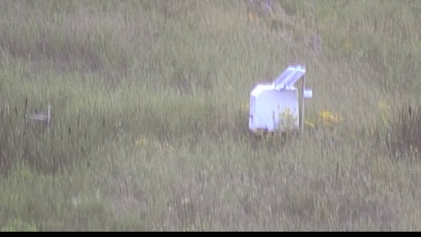 capture-4-23-07-29_20-48-55-58