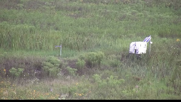 capture-5-23-07-29_07-25-39-43