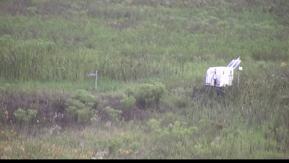 capture-5-23-07-29_07-30-00-19