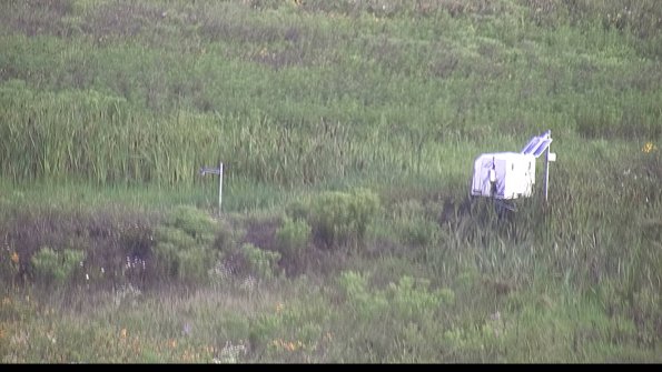 capture-5-23-07-29_07-34-20-35