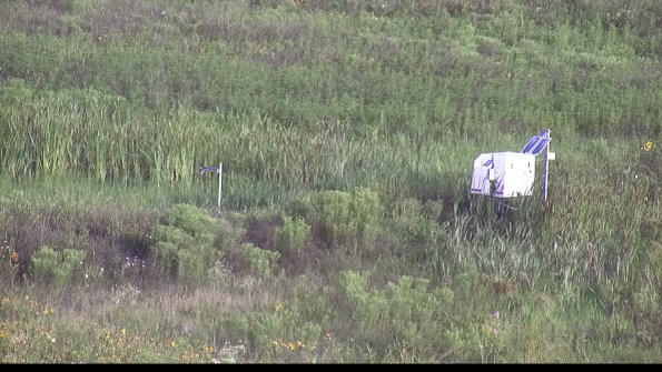 capture-5-23-07-29_07-38-40-28