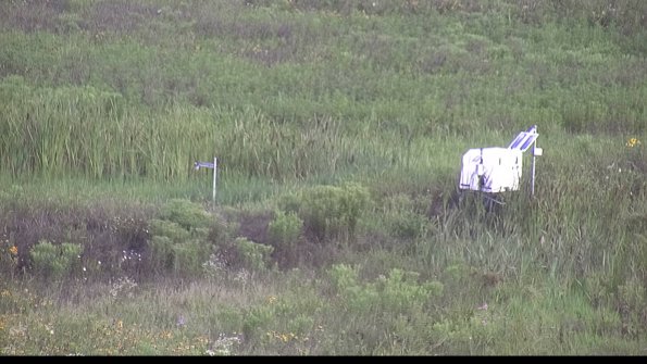 capture-5-23-07-29_08-00-19-79