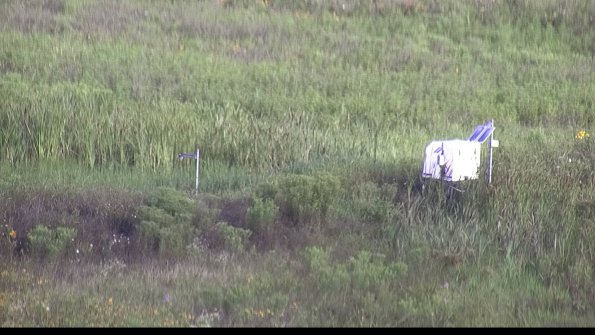 capture-5-23-07-29_08-11-08-90