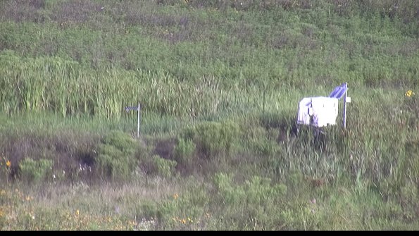 capture-5-23-07-29_08-13-18-83