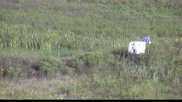 capture-5-23-07-29_08-28-28-95