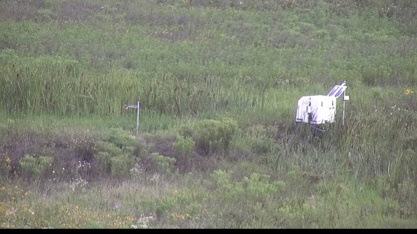 capture-5-23-07-29_08-54-29-85