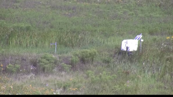 capture-5-23-07-29_09-42-09-79