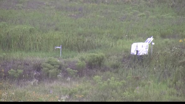 capture-5-23-07-29_09-48-39-75