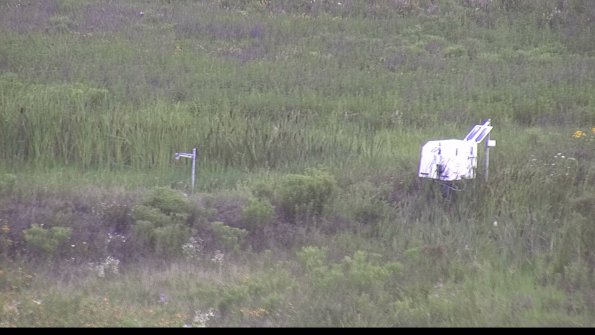 capture-5-23-07-29_12-47-56-33