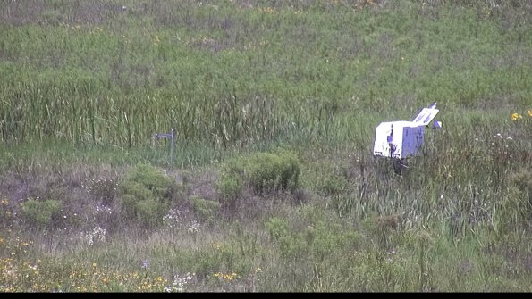 capture-5-23-07-29_12-58-46-49