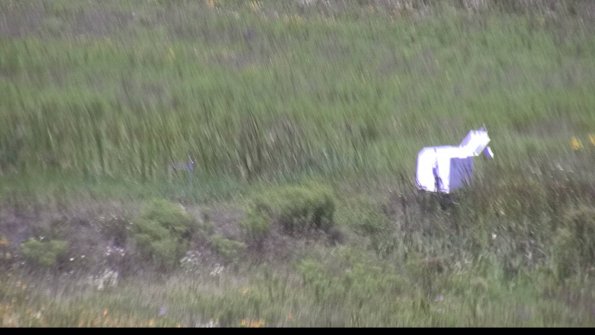 capture-5-23-07-29_13-05-15-78