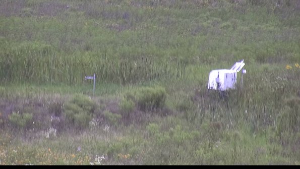 capture-5-23-07-29_13-33-25-84