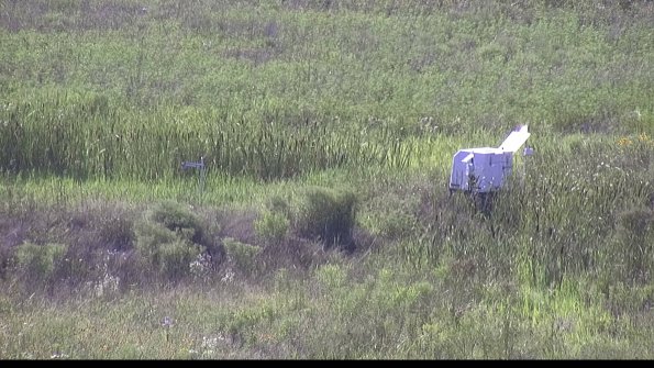 capture-5-23-07-29_17-34-04-68