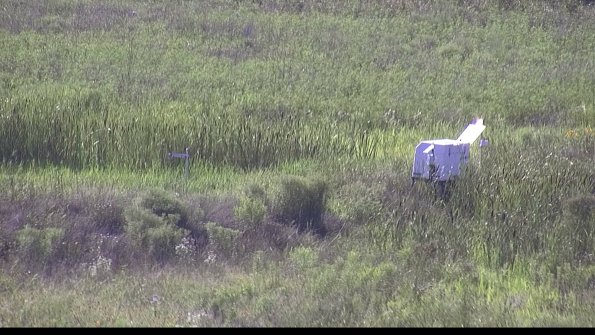 capture-5-23-07-29_17-42-44-81