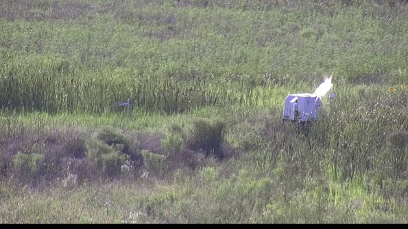 capture-5-23-07-29_17-53-34-73