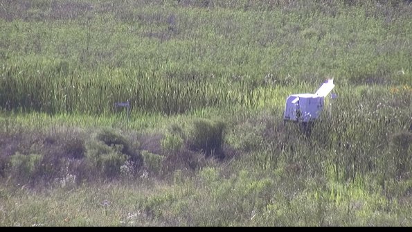 capture-5-23-07-29_18-00-05-35