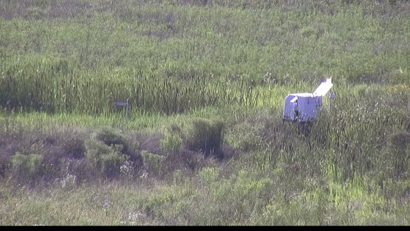 capture-5-23-07-29_18-02-15-68